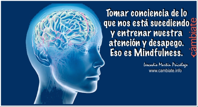cerebro mindfulness.jpg
